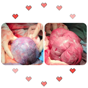 from clipboard from clipboard