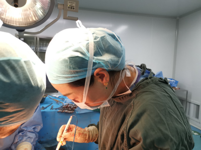 from clipboard from clipboard