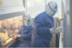 from clipboard from clipboard