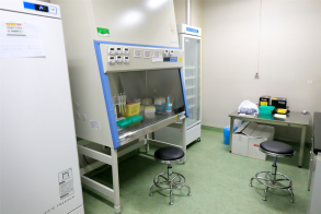 from clipboard from clipboard