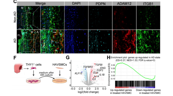 from clipboard from clipboard