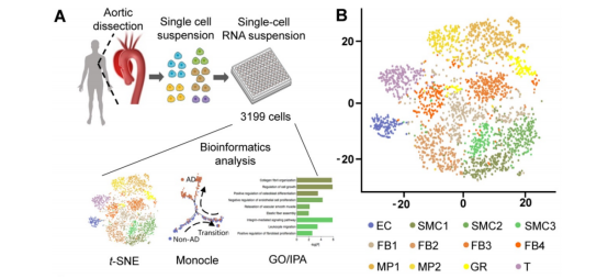 from clipboard from clipboard