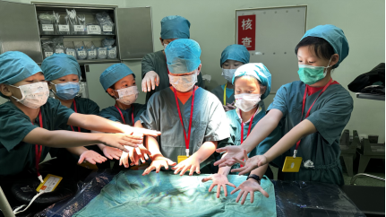 from clipboard from clipboard