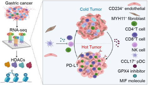 from clipboard from clipboard