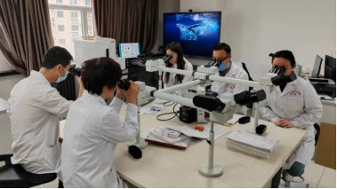 from clipboard from clipboard