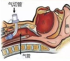from clipboard from clipboard
