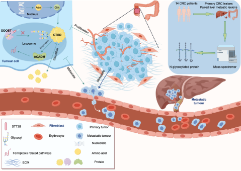 from clipboard from clipboard